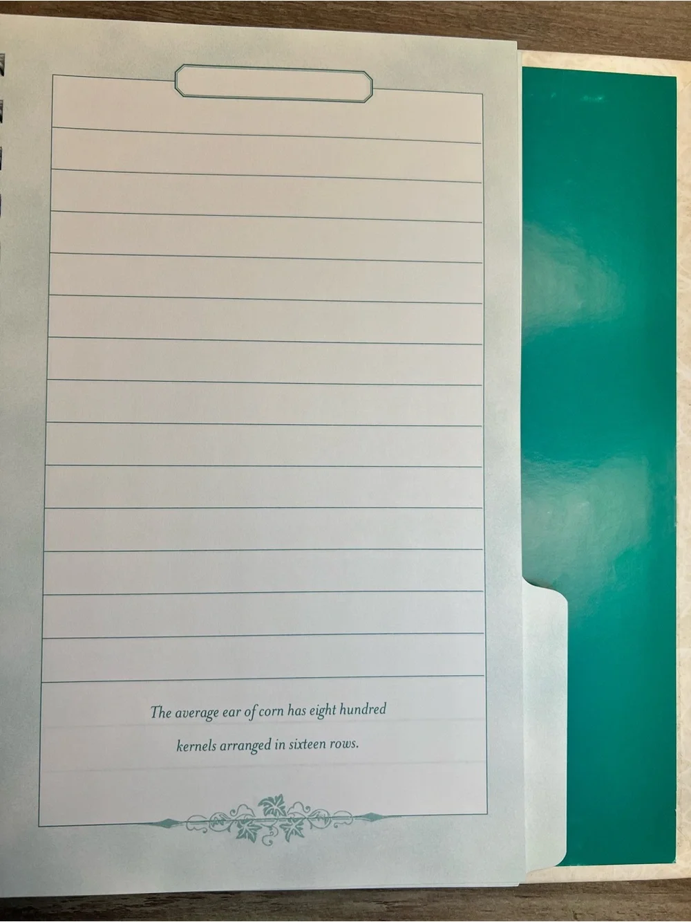 Paula Deen Kitchen Wisdom Recipe Journal